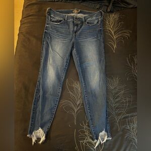 Torrid Distressed Jegging Size 20T